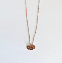 Load image into Gallery viewer, Rose Gold Initials Necklace